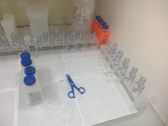 scissors and containers under metal free fume hood