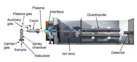 trace element and isotope analyses with inductively coupled plasma-mass spectrometry (ICP-MS)